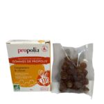 GOMMES gingembre CITRON