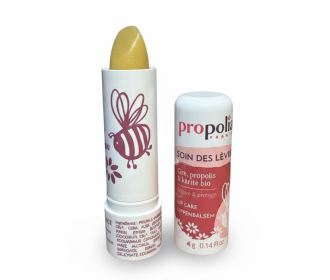 Gemini_Generated_Image_92rohj92rohj92ro stick a lèvres