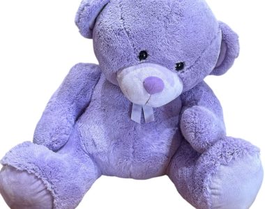 WhatsApp Image 2026-02-06 at 16.11.06