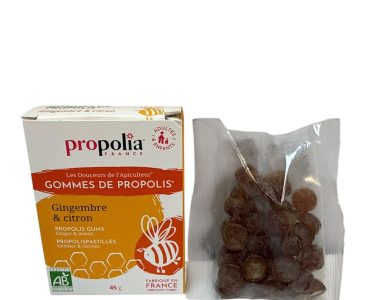 GOMMES gingembre CITRON