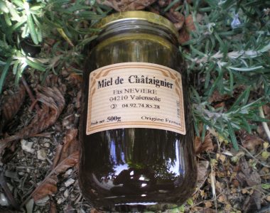 OLYMPUS DIGITAL CAMERA OLYMPUS DIGITAL CAMERA