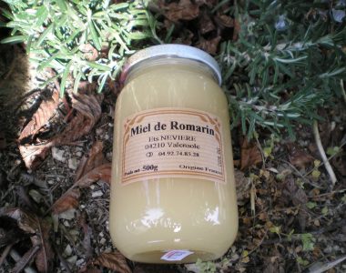 OLYMPUS DIGITAL CAMERA OLYMPUS DIGITAL CAMERA