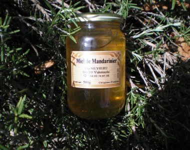 OLYMPUS DIGITAL CAMERA OLYMPUS DIGITAL CAMERA